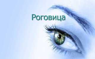 Что такое роговица глаза: строение, заболевания и их лечение