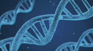 Новости генетики: близорукость передается по наследству