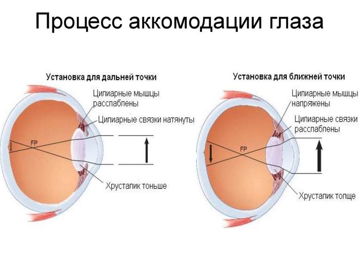Процесс аккомодации глаза