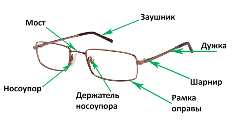 Строение очков для зрения схема и описание