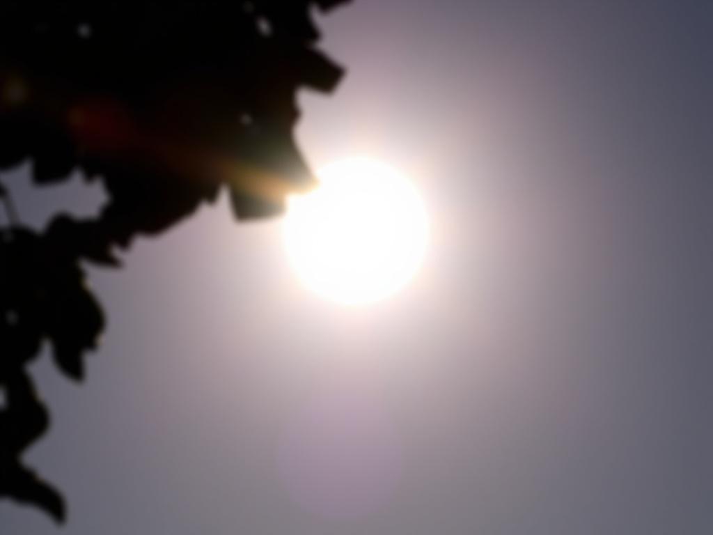     Los peligros de mirar directamente al sol (eclipse solar).. Mitos desmentidos y recomendaciones prácticas finales